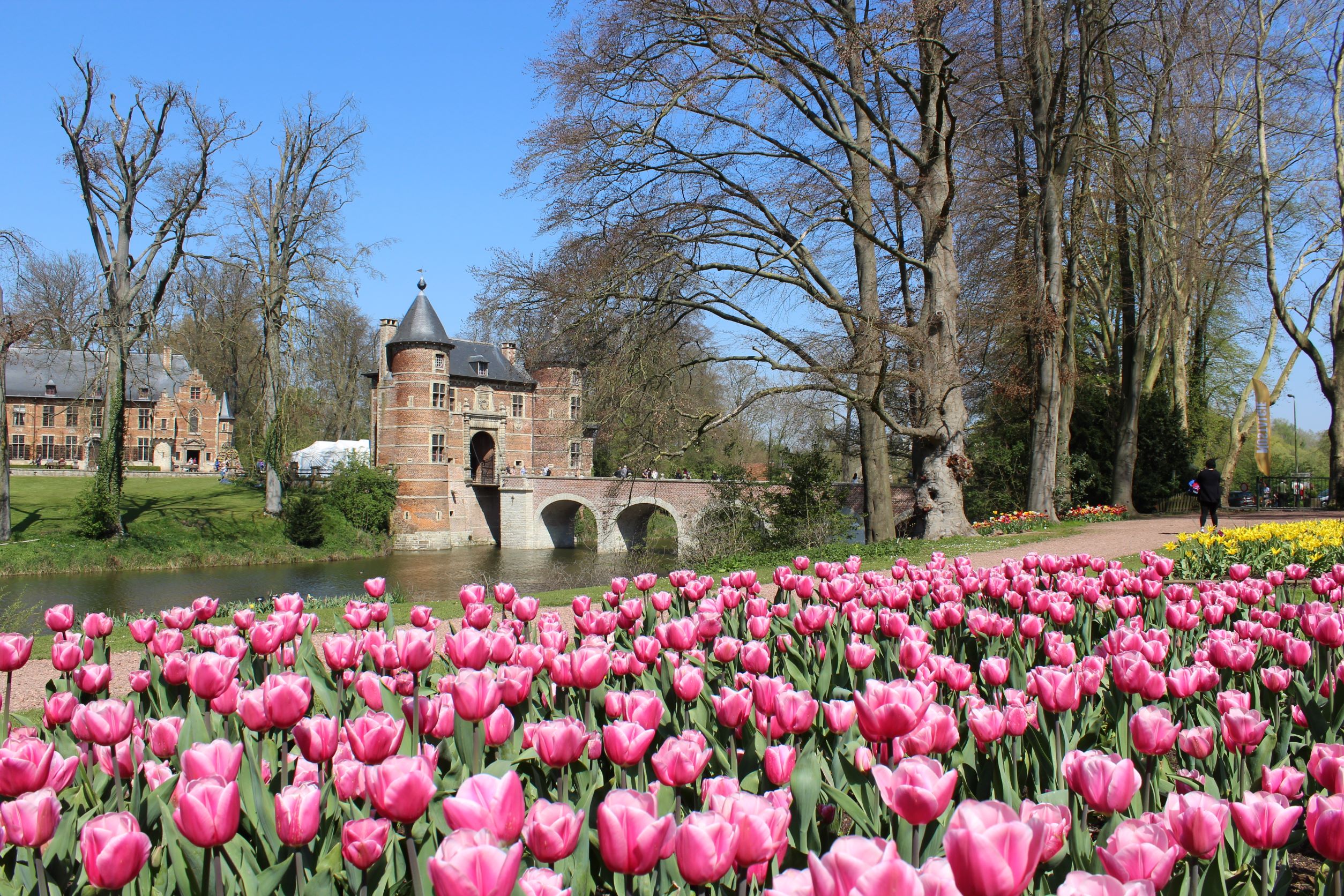 Kasteel van Groot-Bijgaarden met roze tulpen op de voorgrond