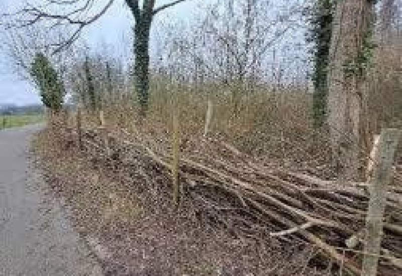 Winterwandeling in de Zibbeekvallei © Natuurpunt